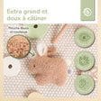 RASSEL HASE FINE - FR Infographic