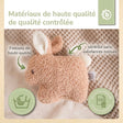 RASSEL HASE FINE - FR Infographic