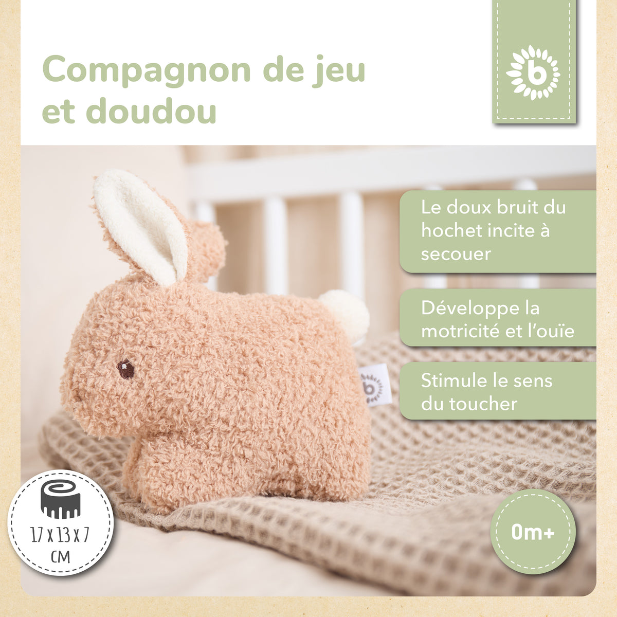 RASSEL HASE FINE - FR Infographic