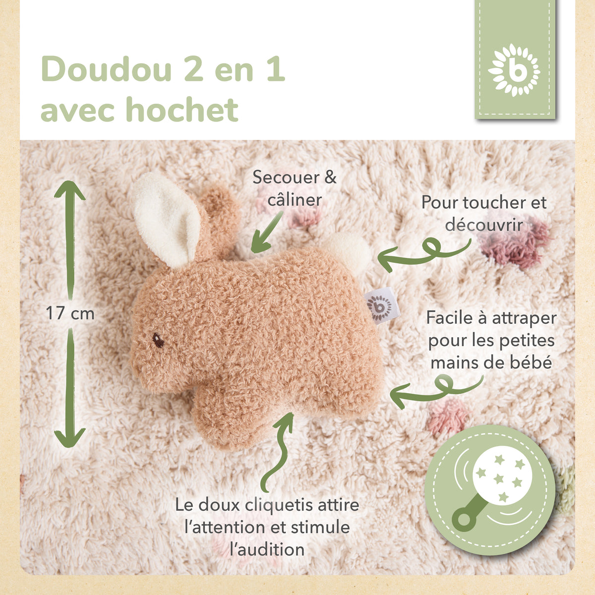 RASSEL HASE FINE - FR Infographic