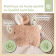 RASSEL HASE FINE - FR Infographic