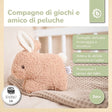 RASSEL HASE FINE - IT Infographic