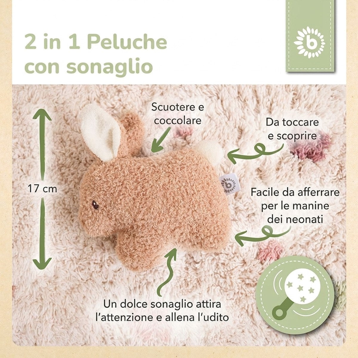 RASSEL HASE FINE - IT Infographic