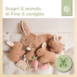 RASSEL HASE FINE - IT Infographic