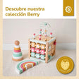 REGENBOGEN BERRY FSC® - ES Infographic