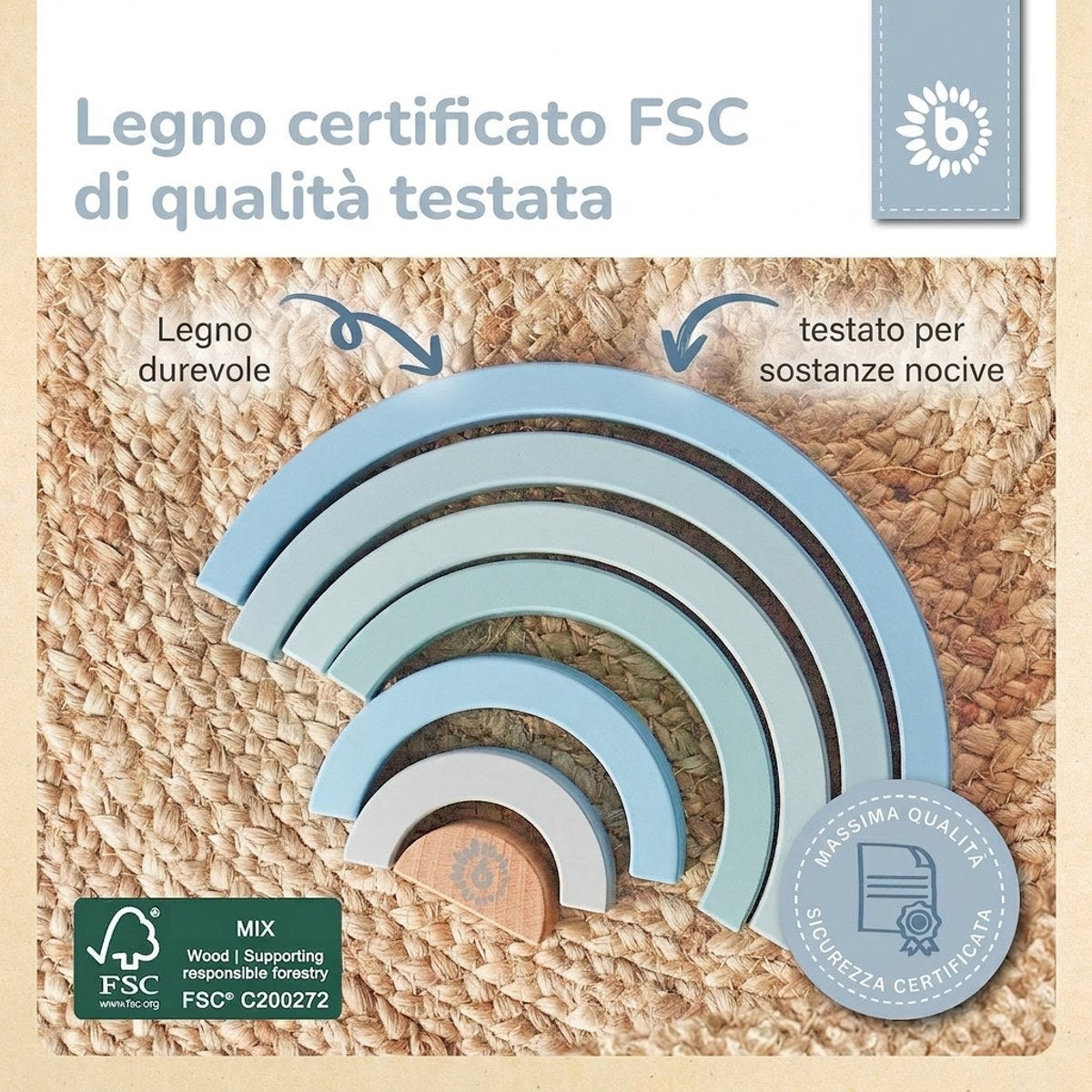 Regenbogen blau FSC® - IT Infographic