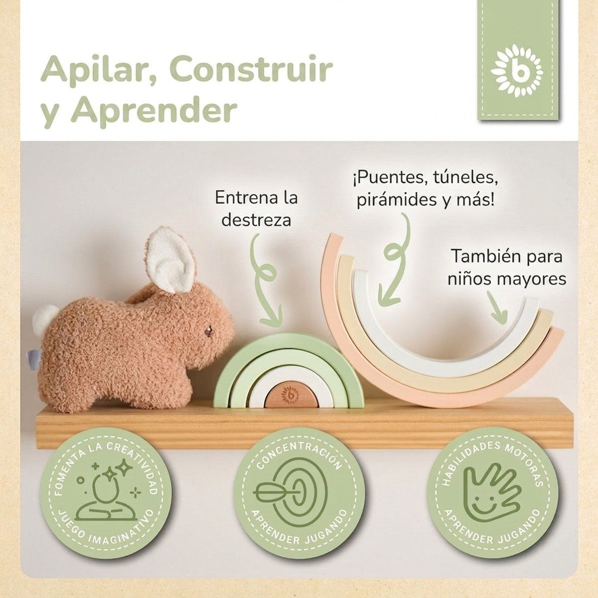 REGENBOGEN HASE FINE FSC® - ES Infographic