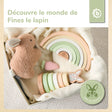 REGENBOGEN HASE FINE FSC® - FR Infographic