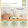REGENBOGEN HASE FINE FSC® - IT Infographic