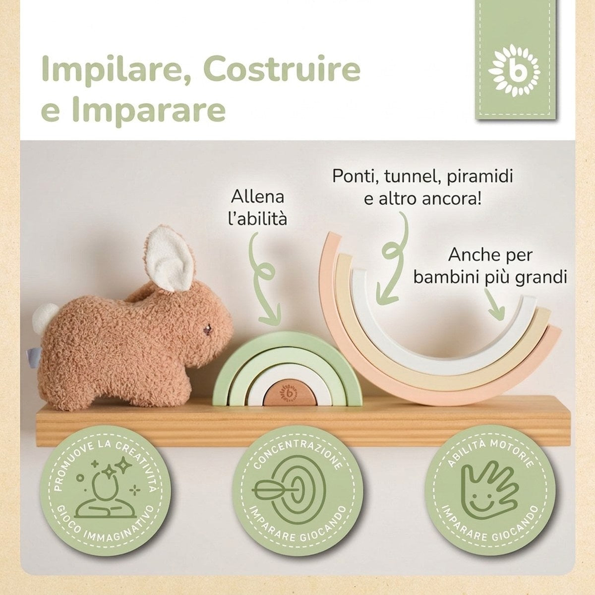 REGENBOGEN HASE FINE FSC® - IT Infographic