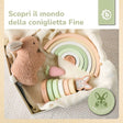 REGENBOGEN HASE FINE FSC® - IT Infographic