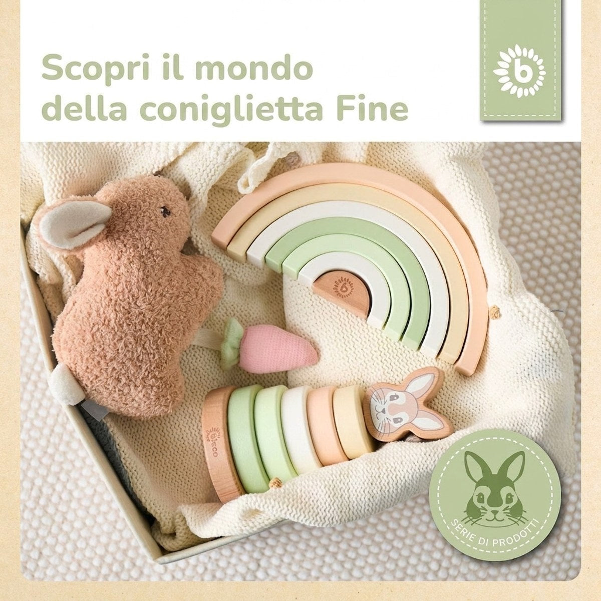 REGENBOGEN HASE FINE FSC® - IT Infographic