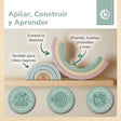 Regenbogen rose FSC® - ES Infographic