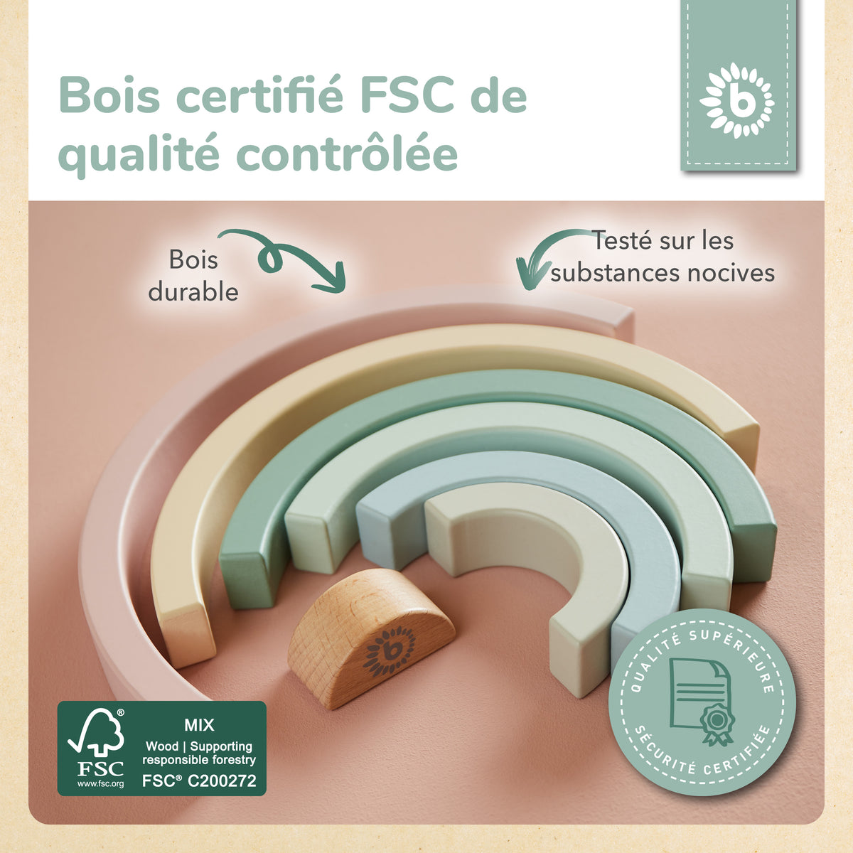 Regenbogen rose FSC® - FR Infographic