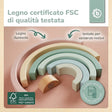 Regenbogen rose FSC® - IT Infographic
