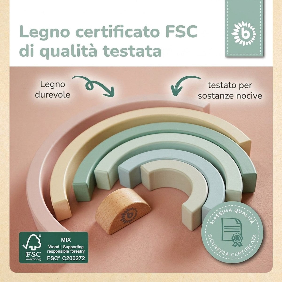 Regenbogen rose FSC® - IT Infographic