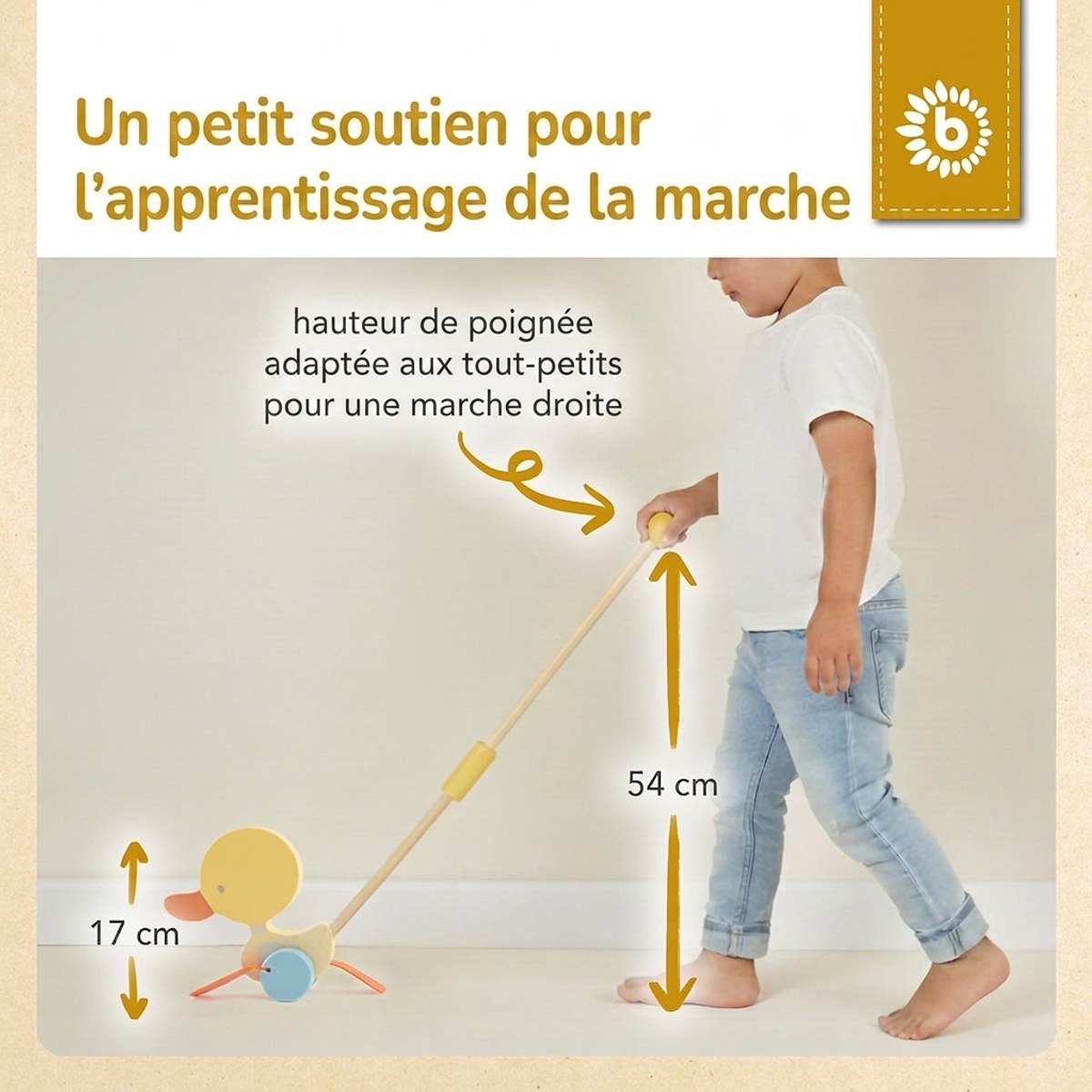 Rollerstab Watschelente gelb - FR Infographic