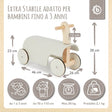 Rutschfahrzeug Scandi - IT Infographic