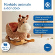 Schaukel Giraffe - IT Infographic