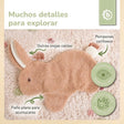 SCHMUSETUCH HASE FINE - ES Infographic