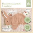 SCHMUSETUCH HASE FINE - FR Infographic