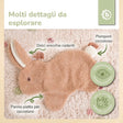 SCHMUSETUCH HASE FINE - IT Infographic