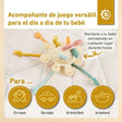 Silikon Activity Planet banana - ES Infographic