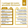 Silikon Activity Planet banana - IT Infographic
