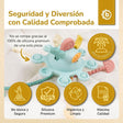Silikon Activity Planet eucalyptus - ES Infographic