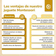 Silikon Activity Planet eucalyptus - ES Infographic