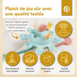 Silikon Activity Planet eucalyptus - FR Infographic