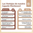 Silikon Activity Planet oat - ES Infographic
