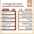 Silikon Activity Planet oat - IT Infographic