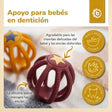 Silikon Beiß- & Greifball 2er Set Sunset - ES Infographic