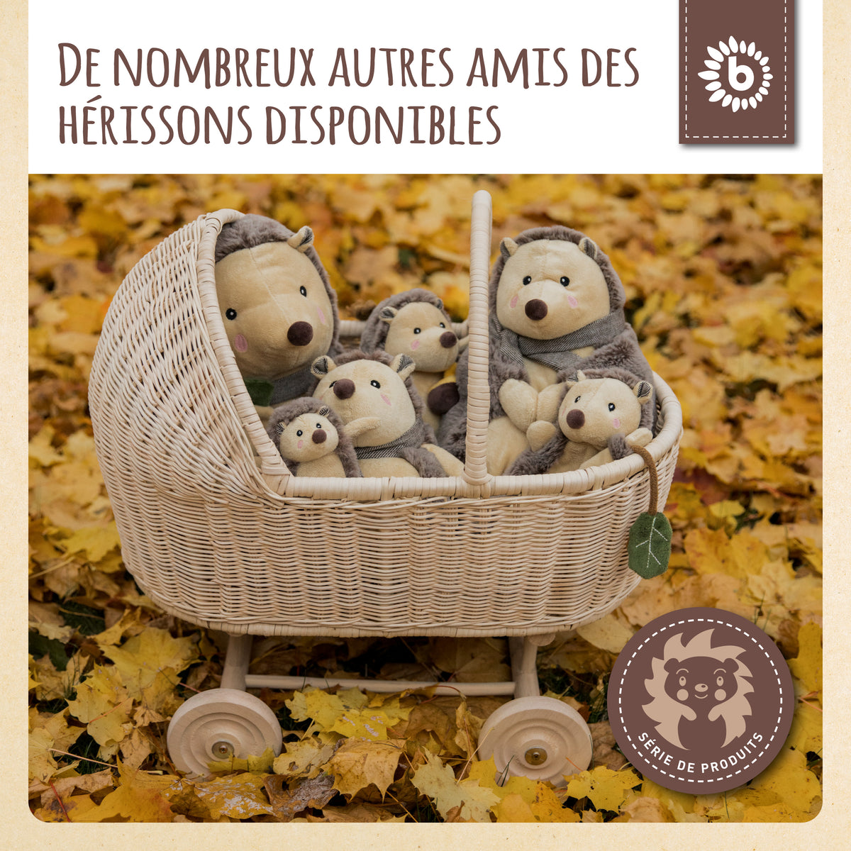 Spielfigur Igel Piksi - FR Infographic