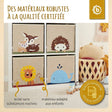 Aufbewahrungsbox Löwe - FR Infographic
