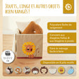 Aufbewahrungsbox Löwe - FR Infographic