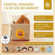 Aufbewahrungsbox Löwe - IT Infographic