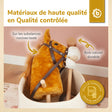 Steckenpferd Brownie - FR Infographic