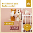 Steckenpferd Brownie - FR Infographic