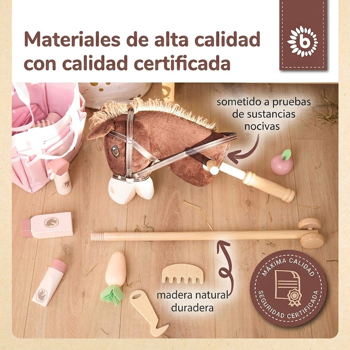 Steckenpferd Coco - ES Infographic