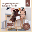 Steckenpferd Coco - ES Infographic