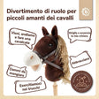 Steckenpferd Coco - IT Infographic