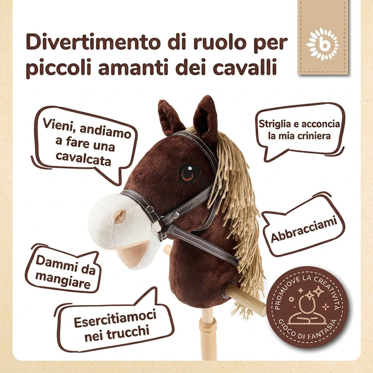Steckenpferd Coco - IT Infographic