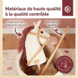Steckenpferd Ginger - FR Infographic