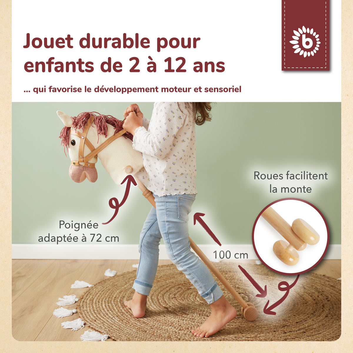 Steckenpferd Ginger - FR Infographic