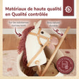 Steckenpferd Ginger - FR Infographic