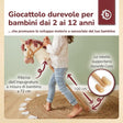Steckenpferd Ginger - IT Infographic