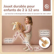 STECKENTIER EINHORN AURORA - FR Infographic