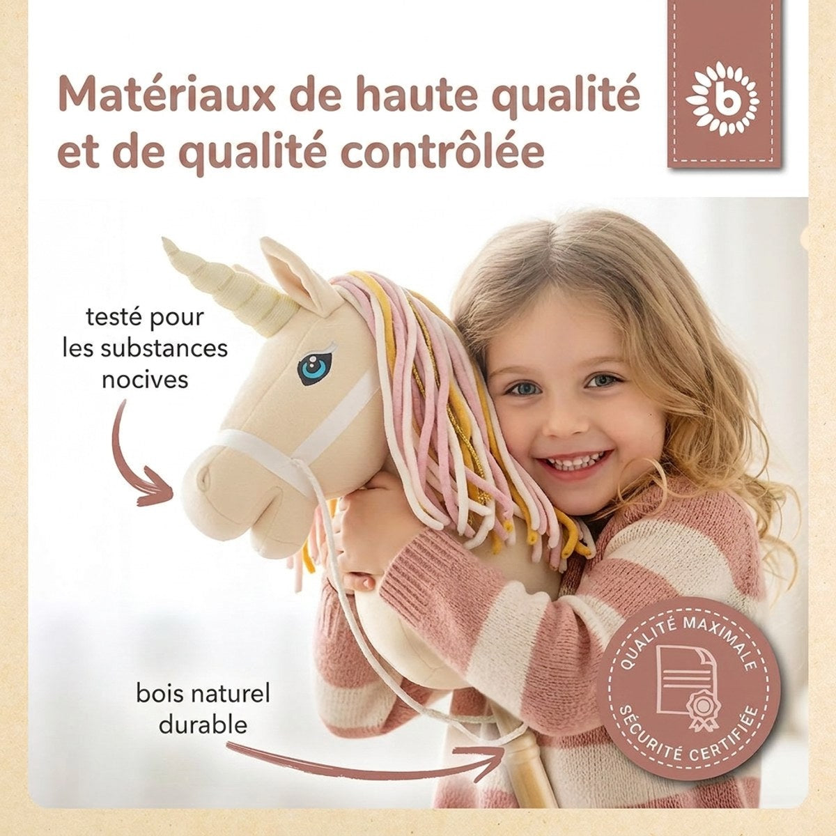 STECKENTIER EINHORN AURORA - FR Infographic